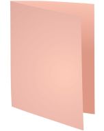 Lot de 100 Chemises pour dossiers - Rose : EXACOMPTA Forever 170 Visuel